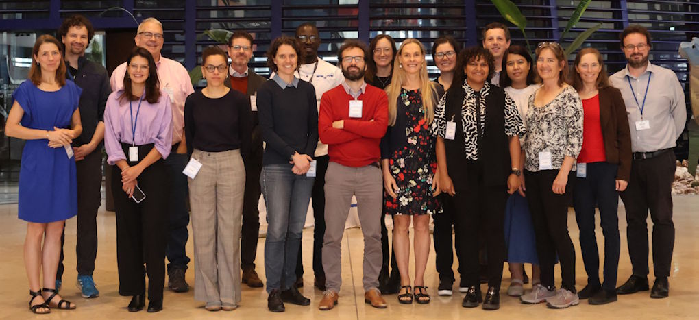 Steering committee members