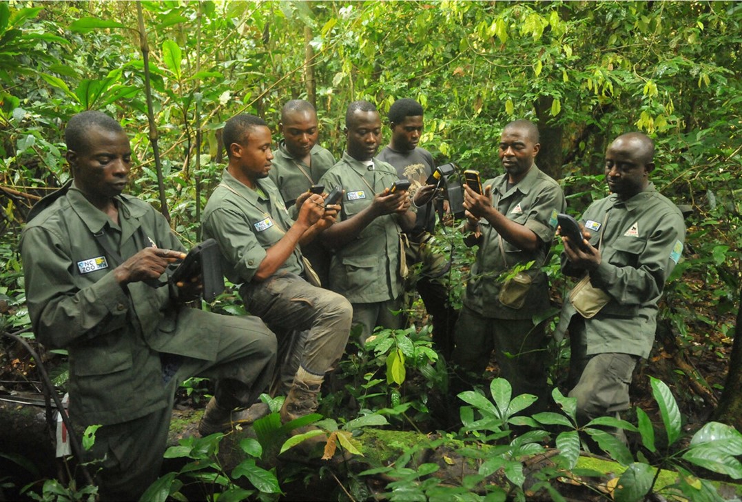 Data and Technology Task Force