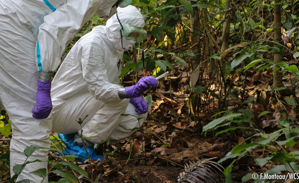 Implementation and Capacity Task Force