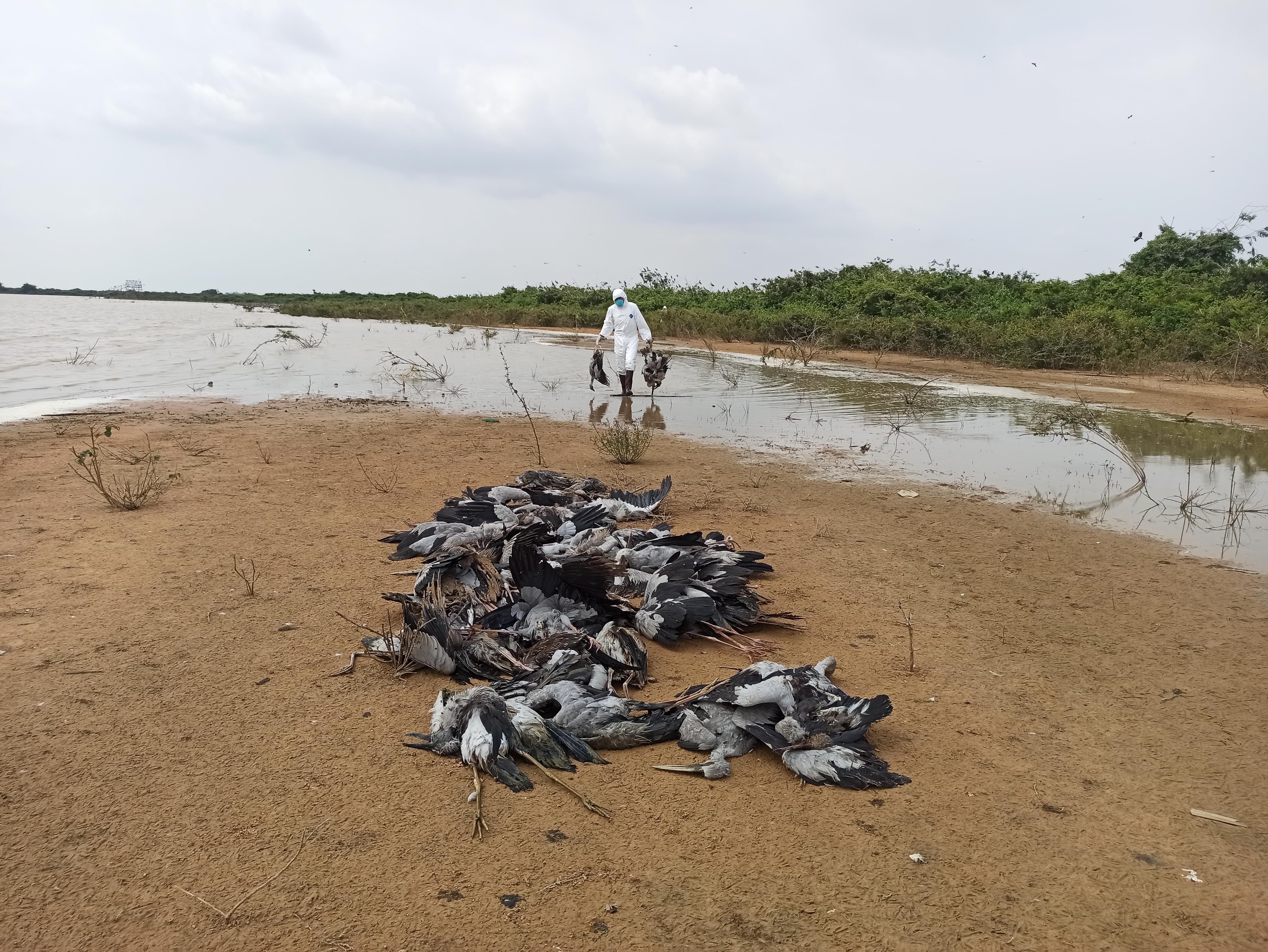 Share your success stories