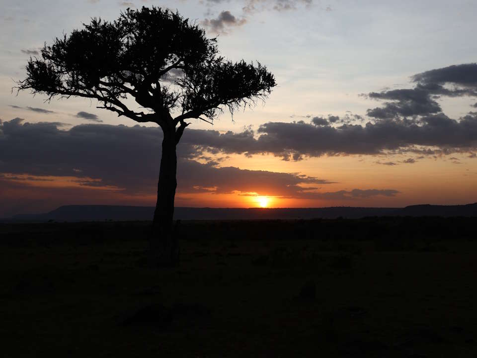 Share your training resources and material